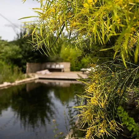 Former Sheepfold With Natural Shared Pool In Drome * Puy-Saint-Martin