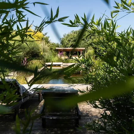 Former Sheepfold With Natural Shared Pool In Drome * Puy-Saint-Martin
