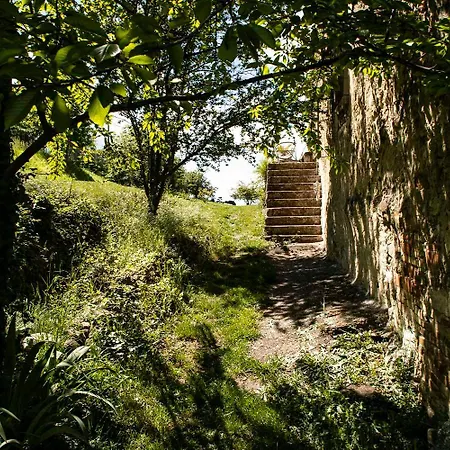 Former Sheepfold With Natural Shared Pool In Drome Puy-Saint-Martin