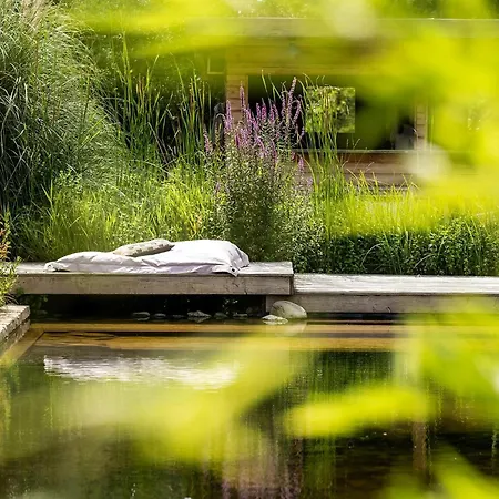Former Sheepfold With Natural Shared Pool In Drome *